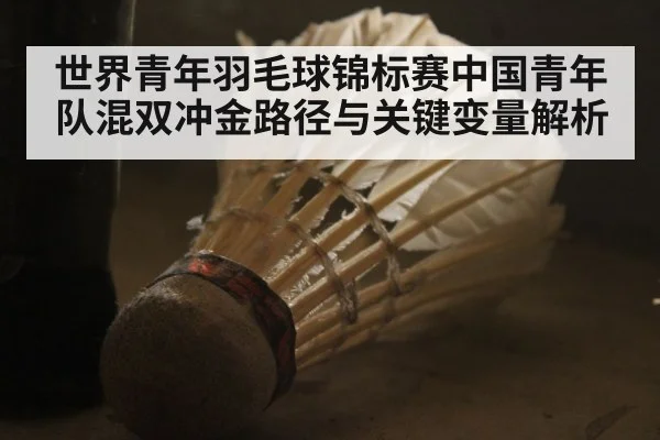 世界青年羽毛球锦标赛中国青年队混双冲金路径与关键变量解析 | kaiyun
